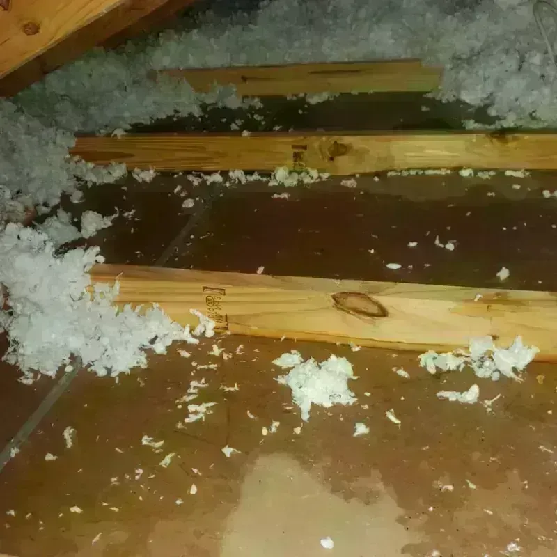 Attic Water Damage in Adel, IA