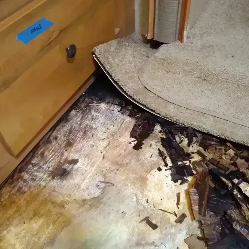 Wood Floor Water Damage in Adel, IA